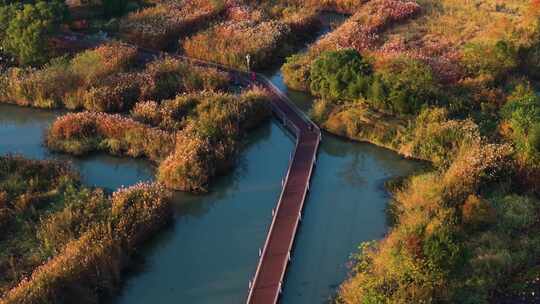 浙江省湖州市德清下渚湖湿地景区航拍视频素材模板下载