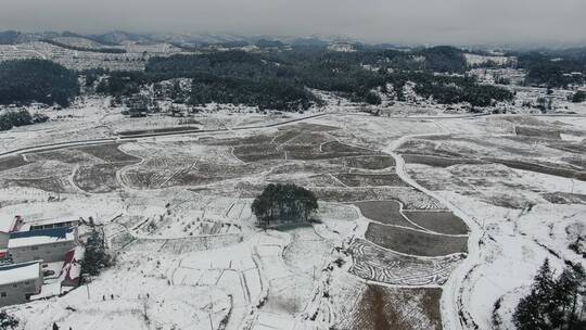 航拍农田农业种植冬天雪景