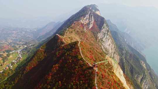 长江三峡巫峡红叶