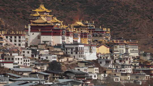 香格里拉 松赞林寺前的飞鸟