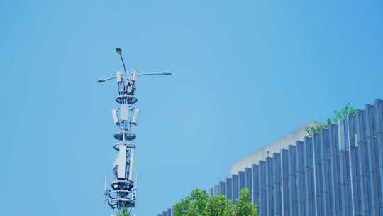 城市5G信号塔视频素材模板下载