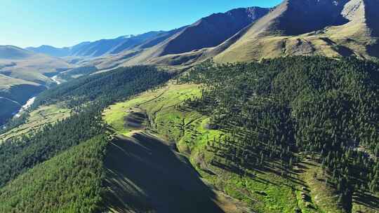 航拍新疆东天山原始森林高山草原风光