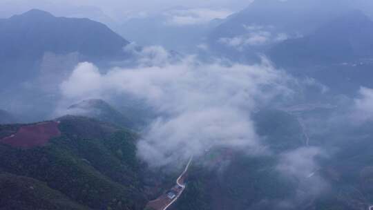 镇安海棠山