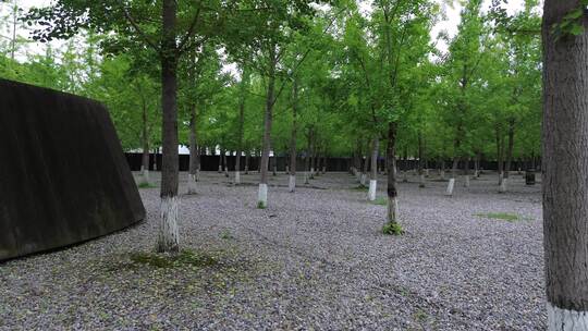 绵阳北川广场纪念碑附近水池与银杏林