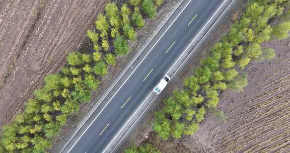 内蒙公路白桦林俯拍