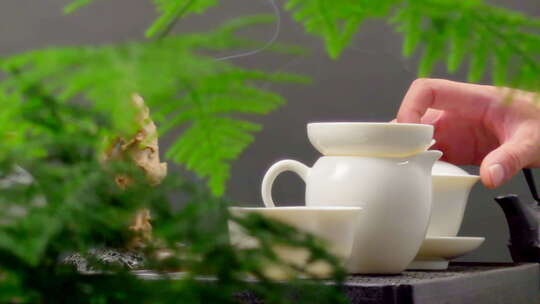 茶道茶艺 白瓷茶杯倒茶分茶喝茶 文竹熏香视频素材模板下载