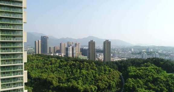 城市高楼与森林景观俯瞰