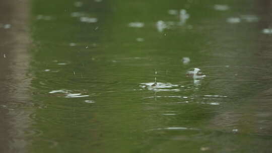 下雨清明谷雨酸雨倾盆大雨蒙蒙细雨