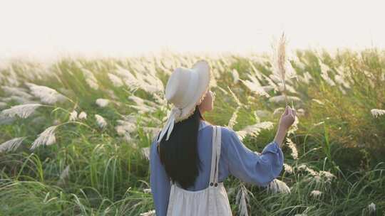 夕阳下芦苇丛中的少女