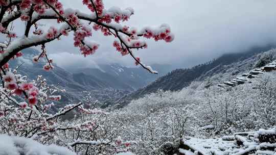 冬天雪花覆盖的山区景色