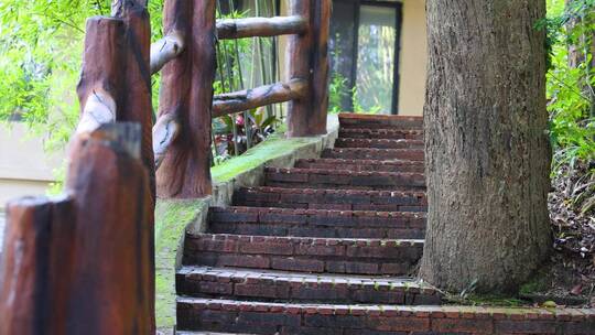 树林里的楼梯走廊