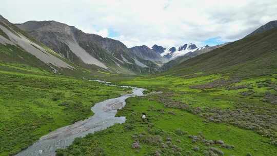 航拍川西格聂山区阿萨贡格雪山草原风光