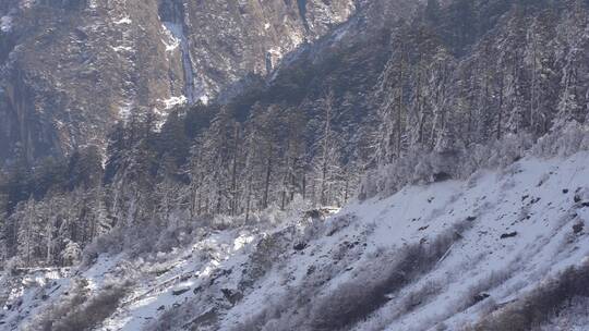 雪山海螺沟