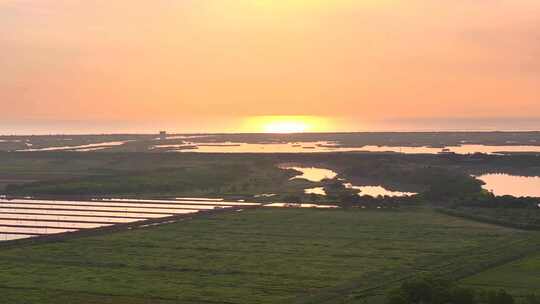 金色日出上海崇明岛东滩湿地全景