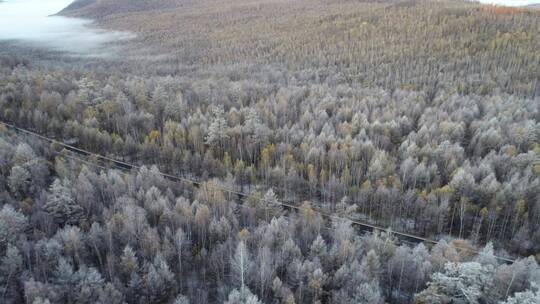 内蒙古大兴安岭秋季森林风光、初冬的霜