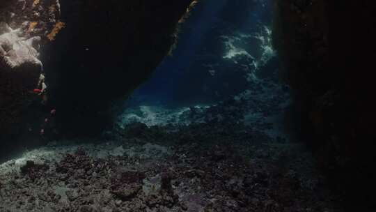 海洋，洞穴，水下，海洋生物