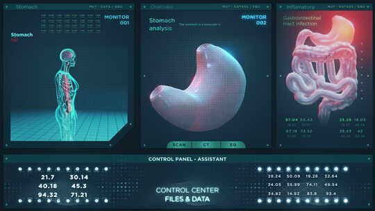 医学胃分析HUD