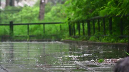 夏天城市下雨大雨雨水即景