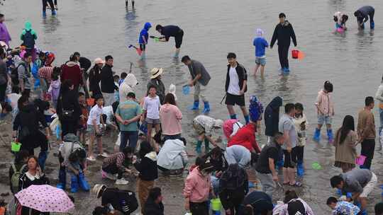 天津东疆公园五一赶海人群