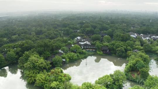 杭州西溪湿地初夏晨雾美景航拍