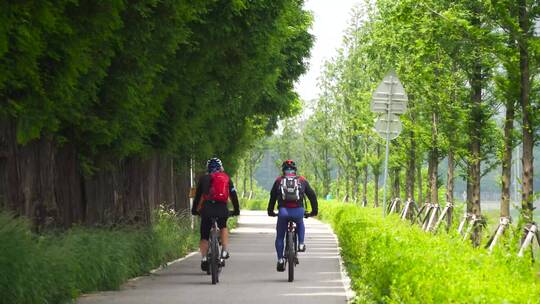 在大自然乡村公路骑自行车的人们