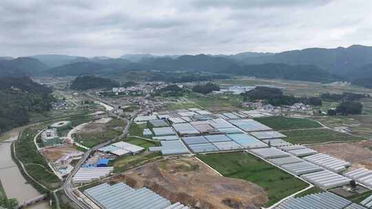 贵州大棚蔬菜生产基地