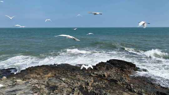 白鹤礁石海浪