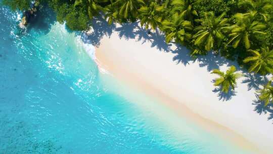 海南三亚海边沙滩椰椰树椰子树椰林素材