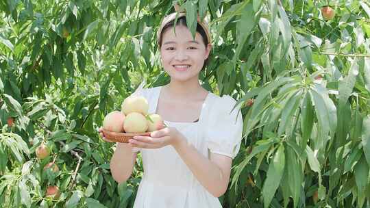 阳山水蜜桃 水蜜桃产地 水蜜桃采摘