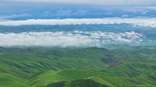 新疆天山草原风光