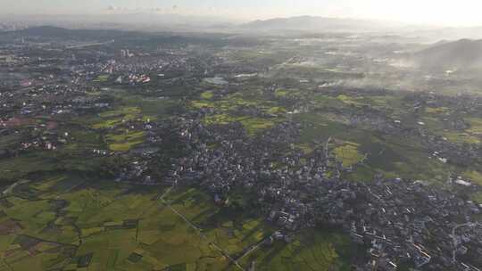 乡村振兴 美丽乡村 水稻秋收