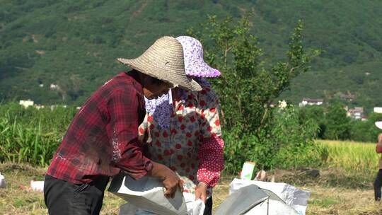 福建 莆田 城厢 常太 岭下村 美丽乡村