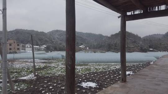 农村下雪场景，天然石佛，下水大佛