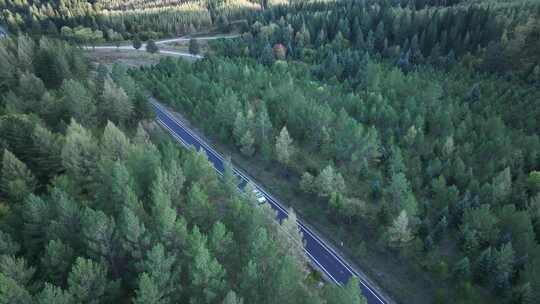 森林公路  航拍开车 航拍 山林驾驶汽车 4k视频素材模板下载