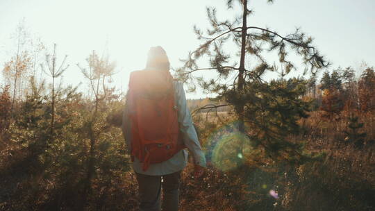 背包客女孩在荒野中行走