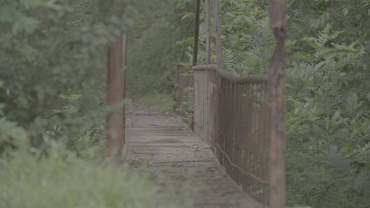大山农村的铁桥LOG视频素材模板下载