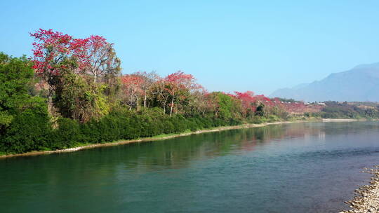 红色攀枝花绿色怒江水