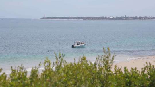 海面绿植和海面船只