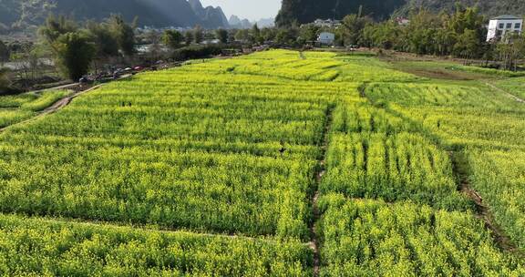 桂林遇龙河流域田园风光