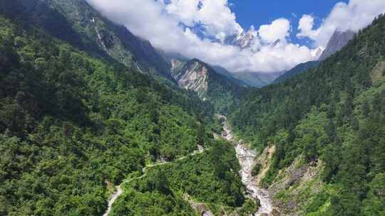 航拍四川贡嘎山区南门关沟森林河谷雪山风光