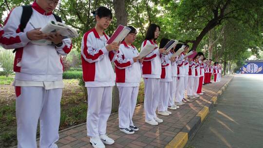 中学生高中生晨光下读书1视频素材模板下载