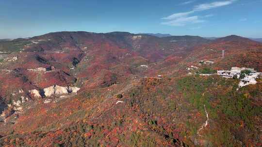 秋日红叶森林航拍满山红叶