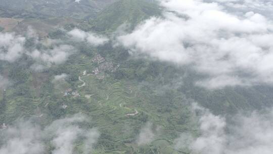 高清4K云海航拍山区森林风光风景素材空镜