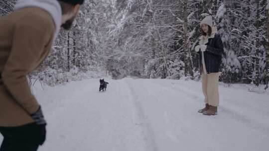 狗在雪地上奔跑的视频