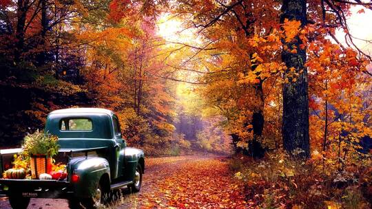 美丽的秋天大自然与汽车