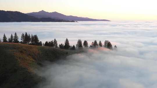 清晨山峰云雾森林云海平流云山顶平流雾
