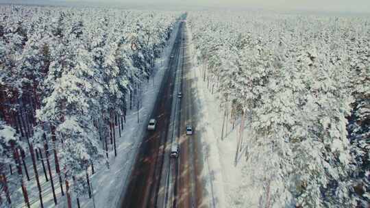 冬季森林公路