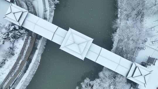 航拍洛阳王城公园雪景视频素材模板下载
