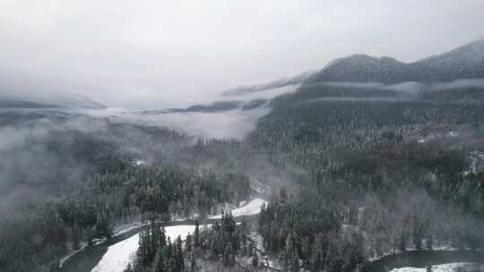 山，冬天，雪，树