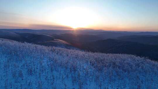 大兴安岭林海雪原雾凇夕照